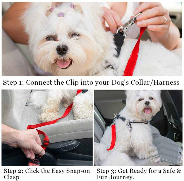Pet Car Safety Seat Belt